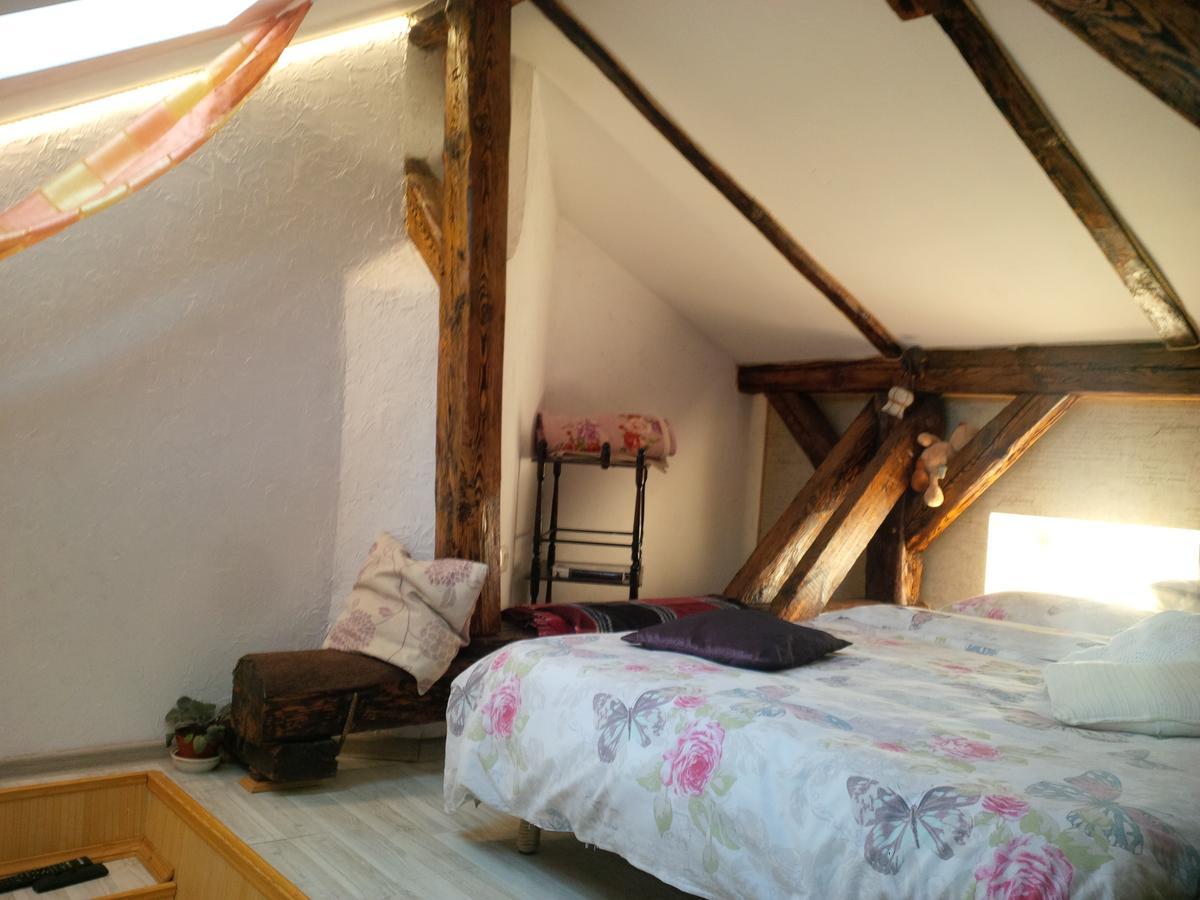 Lviv Amazing Rooftop Apartment 외부 사진