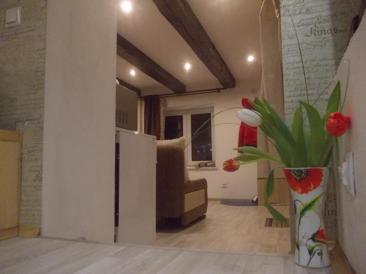 Lviv Amazing Rooftop Apartment 외부 사진