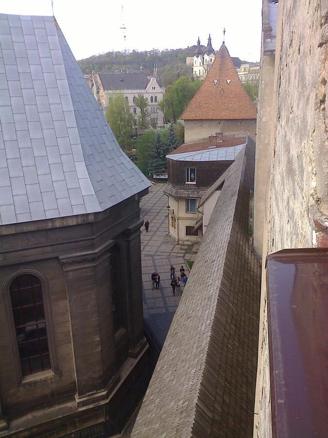 Lviv Amazing Rooftop Apartment 외부 사진